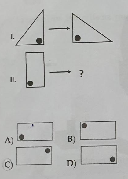 Image question 2