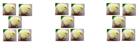 image question 1
