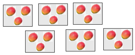 image question 6