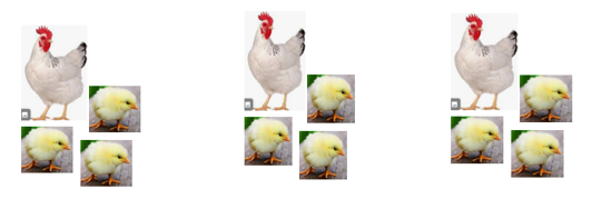 image question 7