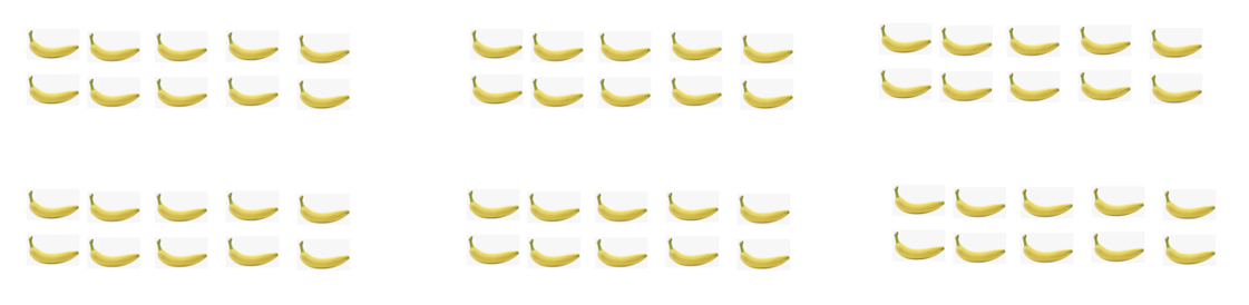 image question 4