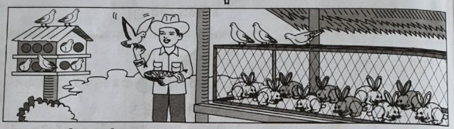 image question 7